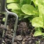 What is a forked spade or digging fork used for?