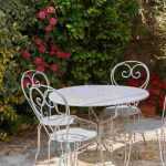 6 plants to create a privacy hedge on your terrace