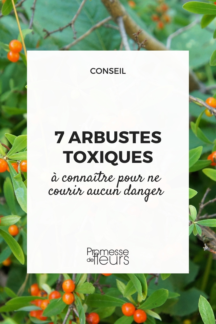 Toxicity in Bushes and Plants

When cultivating a garden, it's essential to be aware of the potential toxicity of certain bushes and young plants. Some species, while enhancing the aesthetic appeal of our gardens, can pose risks to humans and pets if ingested. It's crucial to identify these plants and take necessary precautions to ensure safety for all garden dwellers.

Understanding Plant Toxicity
The toxicity of a plant can vary significantly from one species to another. Symptoms of poisoning can range from mild irritation to severe health issues, including nausea, vomiting, and in extreme cases, death. Therefore, it's important to educate yourself about the plants you intend to grow.

Common Toxic Bushes and Plants
Here are a few commonly found toxic bushes and young plants that you might consider avoiding or handling with care:

1. **Oleander (Nerium oleander)** - All parts of this bush are highly toxic and can cause severe effects if ingested.
2. **Foxglove (Digitalis purpurea)** - While beautiful, every part of this plant is poisonous and can affect the heart.
3. **Rhododendron** - Contains substances that can lead to digestive, cardiovascular, and nervous system issues.
4. **Hydrangea** - The buds and leaves contain cyanogenic glycosides, which can release cyanide when chewed.

Safety Tips
- Always wear gloves when handling these plants.
- Educate your family about the dangers of ingesting or mishandling garden plants.
- Consider planting non-toxic alternatives that are equally beautiful but safer.

By being informed and cautious, you can enjoy a beautiful and safe garden environment. Remember, the key to safe gardening is not only about choosing the right plants but also about understanding the ones you already have.