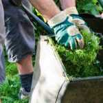 What to do with grass clippings?