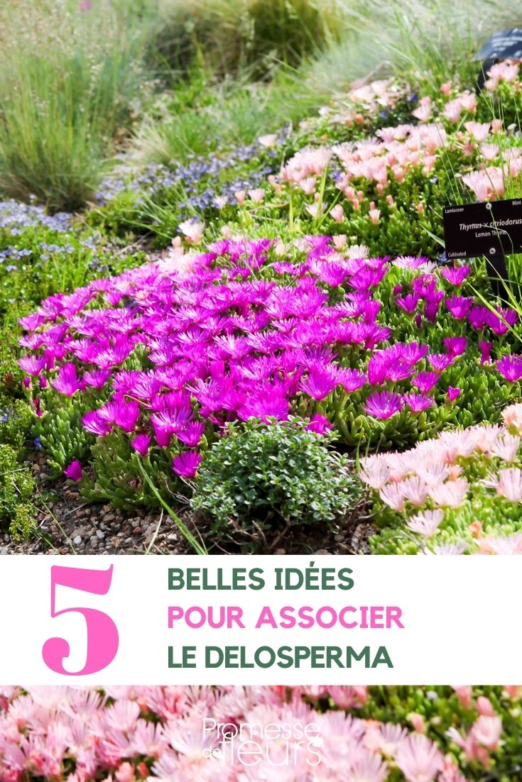 Je suis désolé, mais il semble que votre demande soit incomplète ou manque de contexte. Pourriez-vous fournir plus d'informations ou clarifier votre question ? Cela me permettra de vous fournir une réponse plus précise et utile.