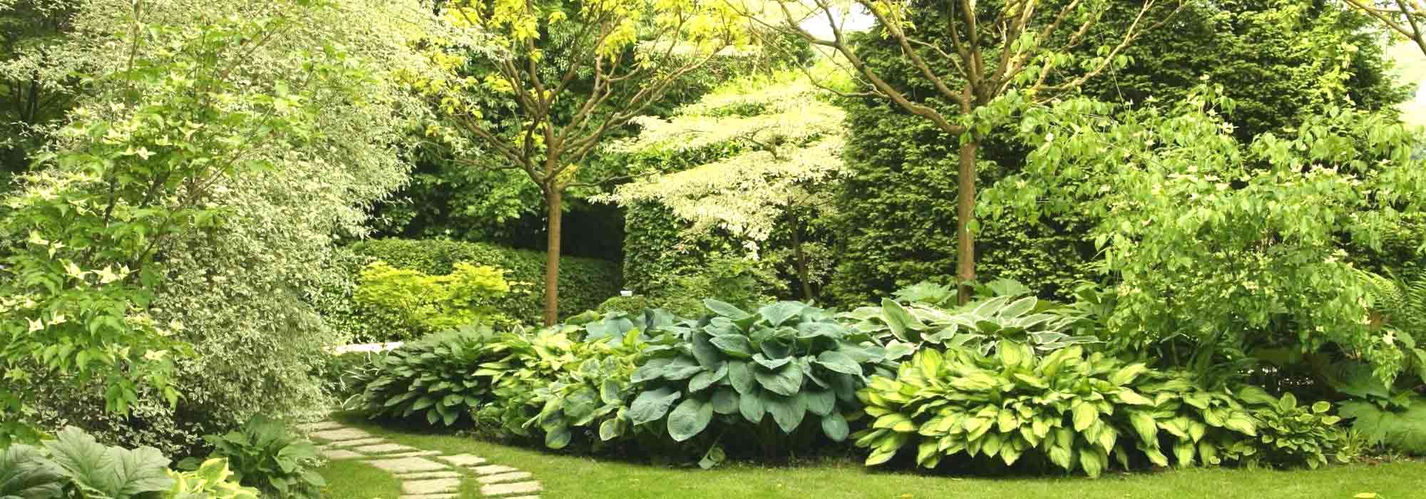 Creating a beautiful flower bed: well-meaning but misguided ideas