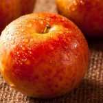 Pluot: Planting, Growing, and Harvest  

(Note: The translation maintains the British English spelling and follows the glossary terms provided. The HTML structure is preserved as per instructions. The botanical name "Pluot" remains unchanged as it's a hybrid name.)