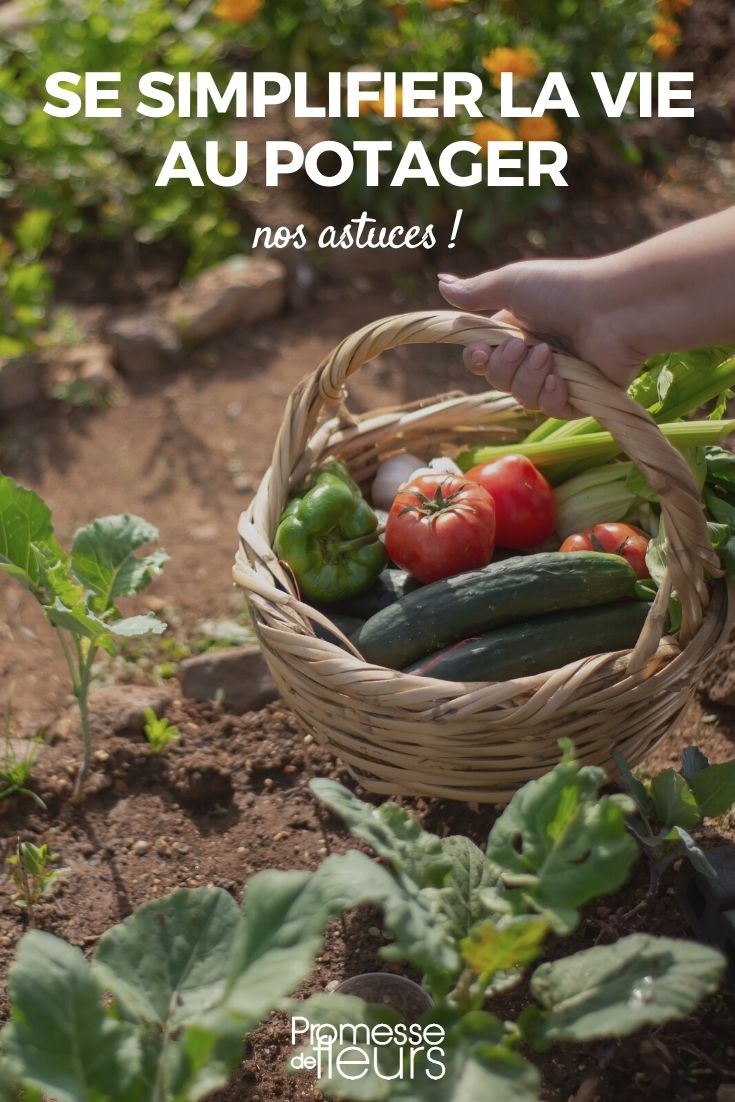 Making Life Easier in the Vegetable Garden: Our Tips Simple Tips for Your Vegetable Garden
