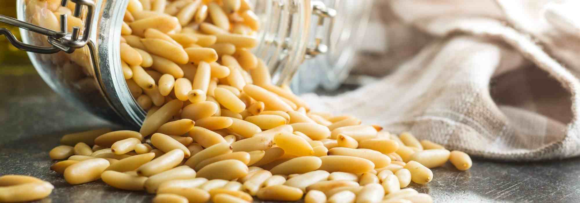 How to harvest pine nuts?