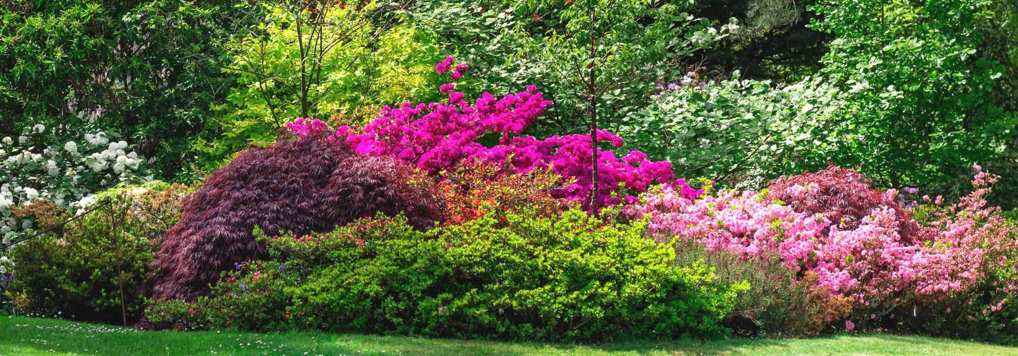 How to create a beautiful bush bed?