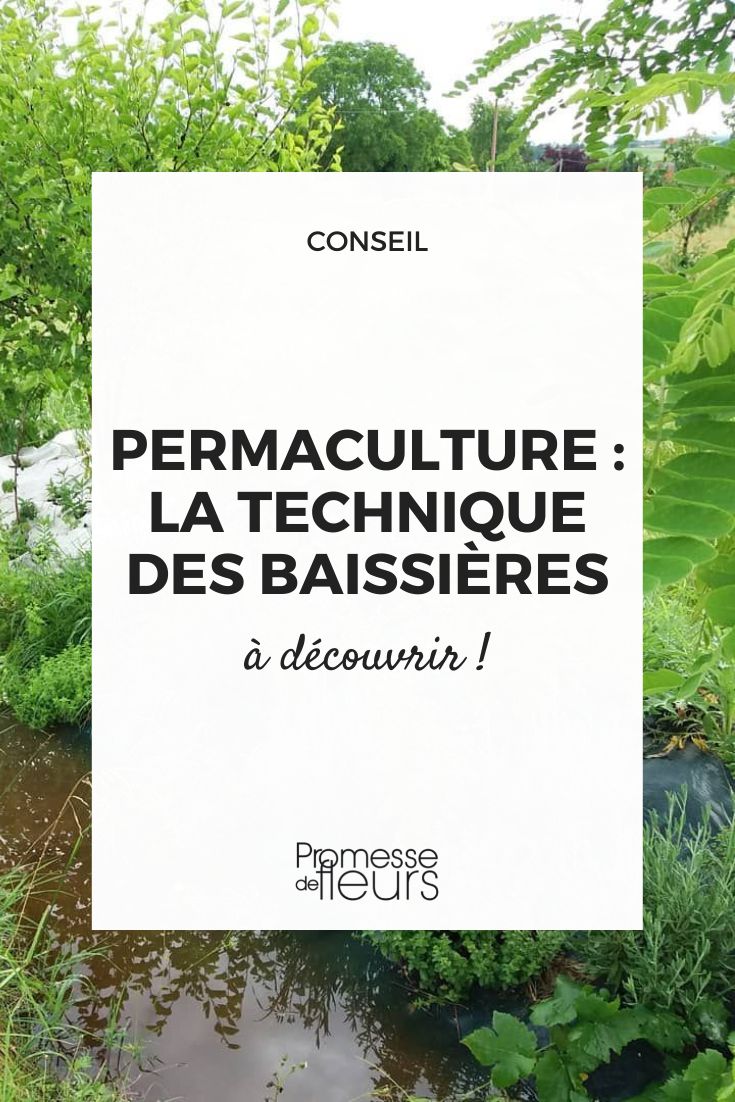 Permaculture: the technique of hugelkultur baissière swale ditch permaculture
