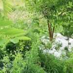 Permaculture: the technique of swales