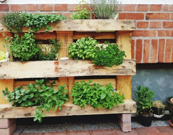 How to make a planter from a pallet?