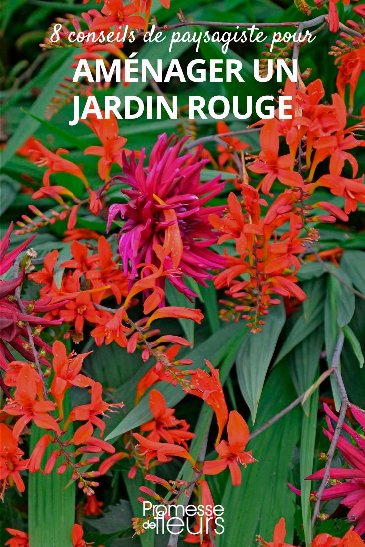[plantes couleur="rouge"]