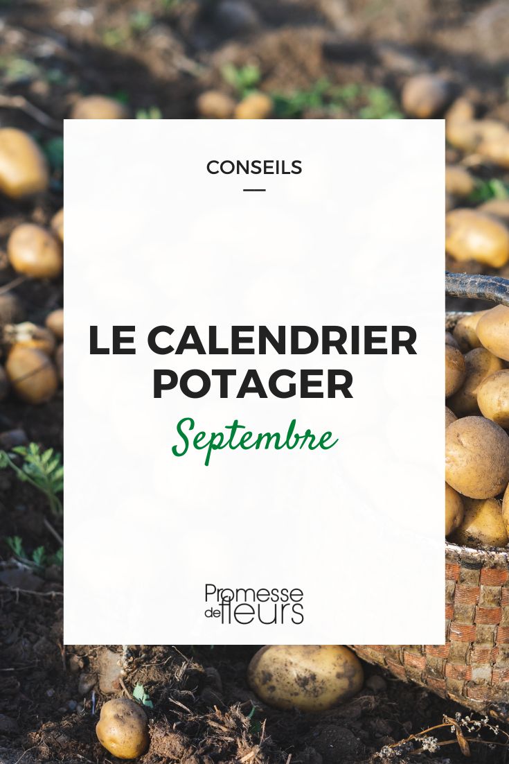 vegetable garden calendar september september vegetable gardening tasks