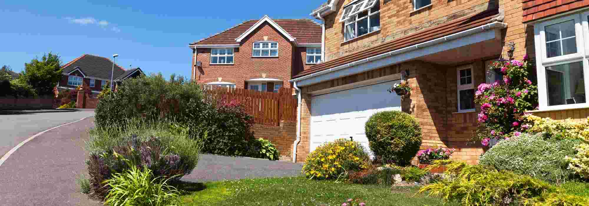 Which plants to choose along a driveway?