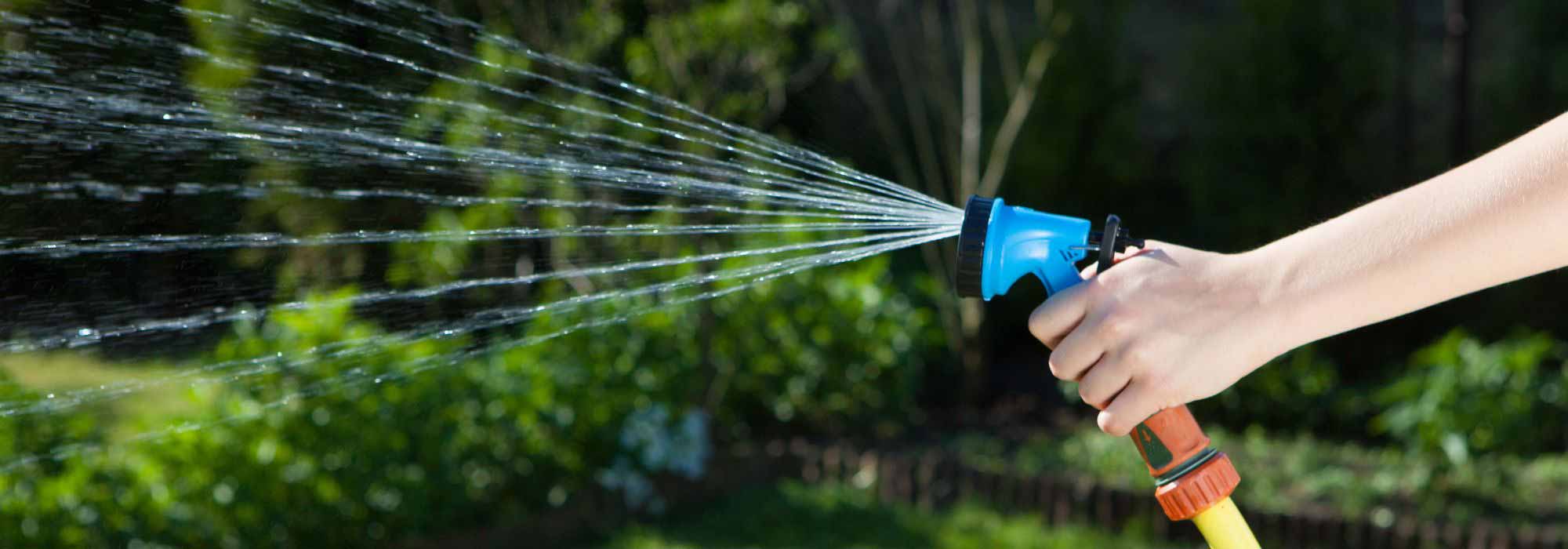 Watering your garden during a drought: what does the law say?