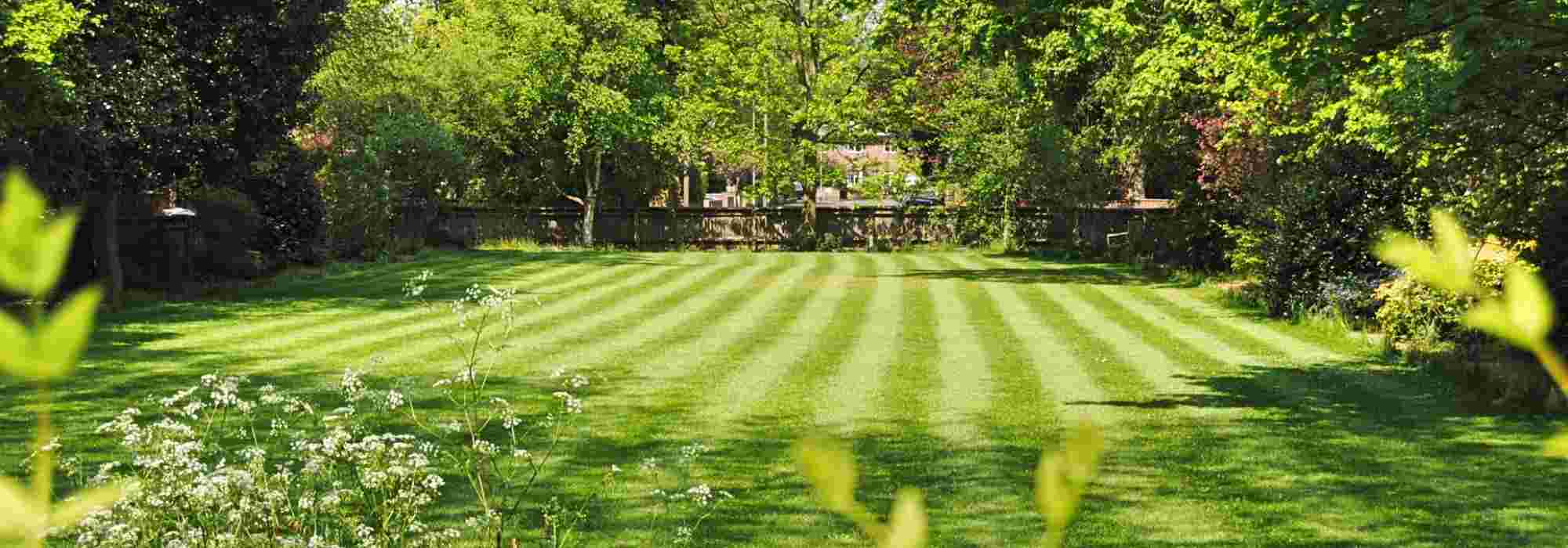 When and how to mow your lawn in summer?