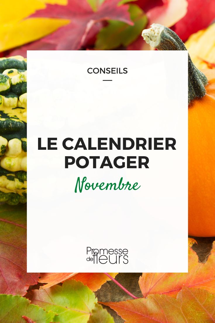 [planting_guide month="november"]