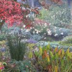 8 shade plants with autumn interest