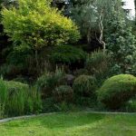 How to create beautiful borders in the garden?