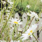 Cottagecore: the trend combining country garden and loose living