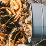 Compost tea: recipe and use in the garden