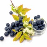 Blueberry 'Yello Berryblue'®