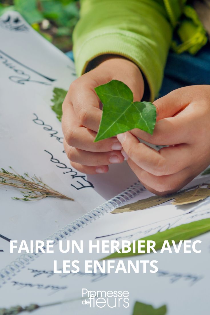 Creating a water plant community with children