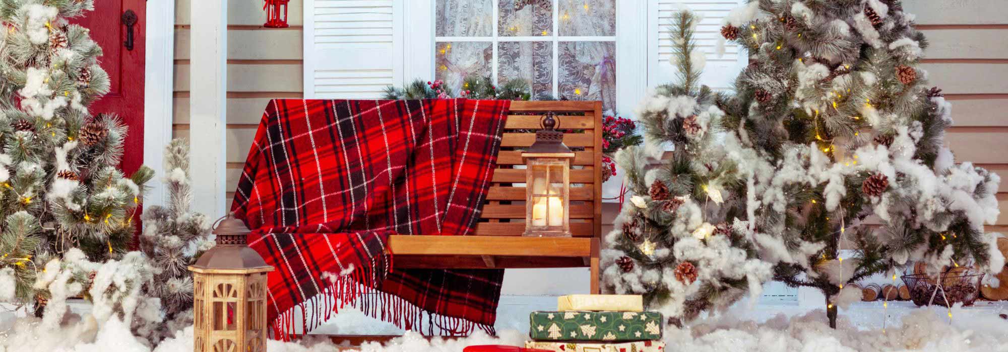 What to do in the garden in December?