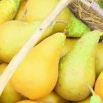 5 late varieties of pears