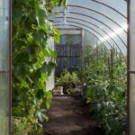How to retain heat in a greenhouse during winter?