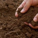 Should you work the soil in winter?