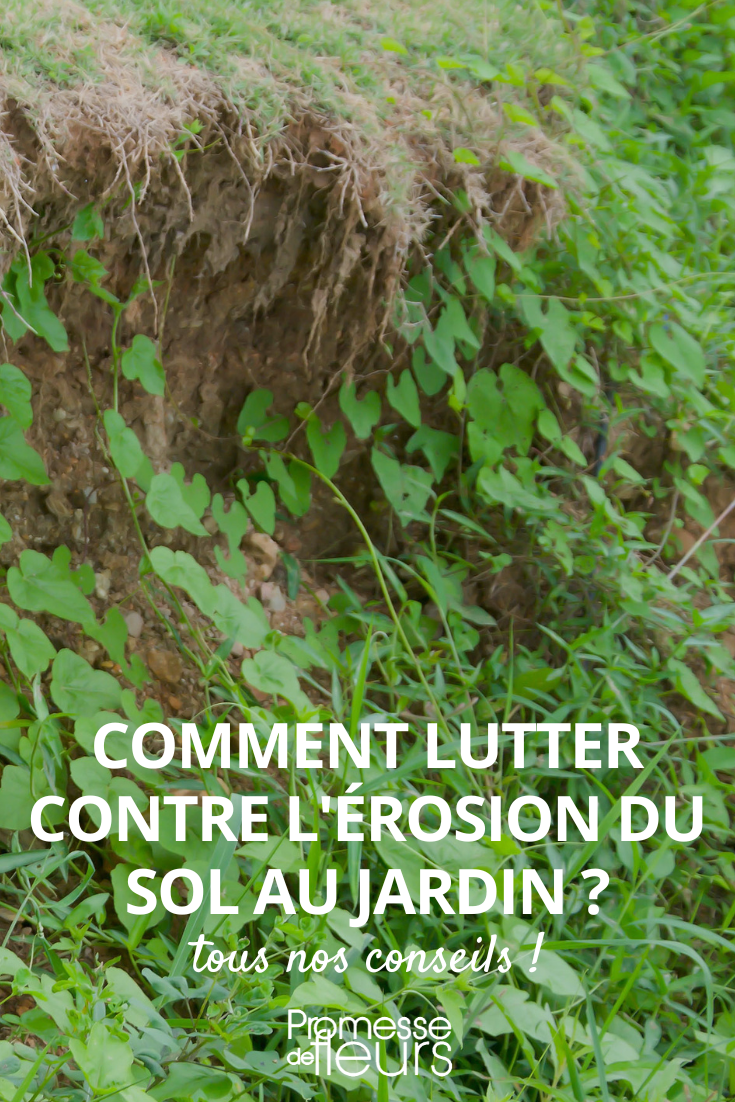 Solutions against soil erosion in the garden