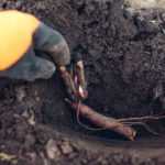 Planting a peony from bare roots