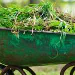 Zero waste: What to do with the pruning of perennials and cut flowers?