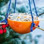 DIY: Bird Feeders