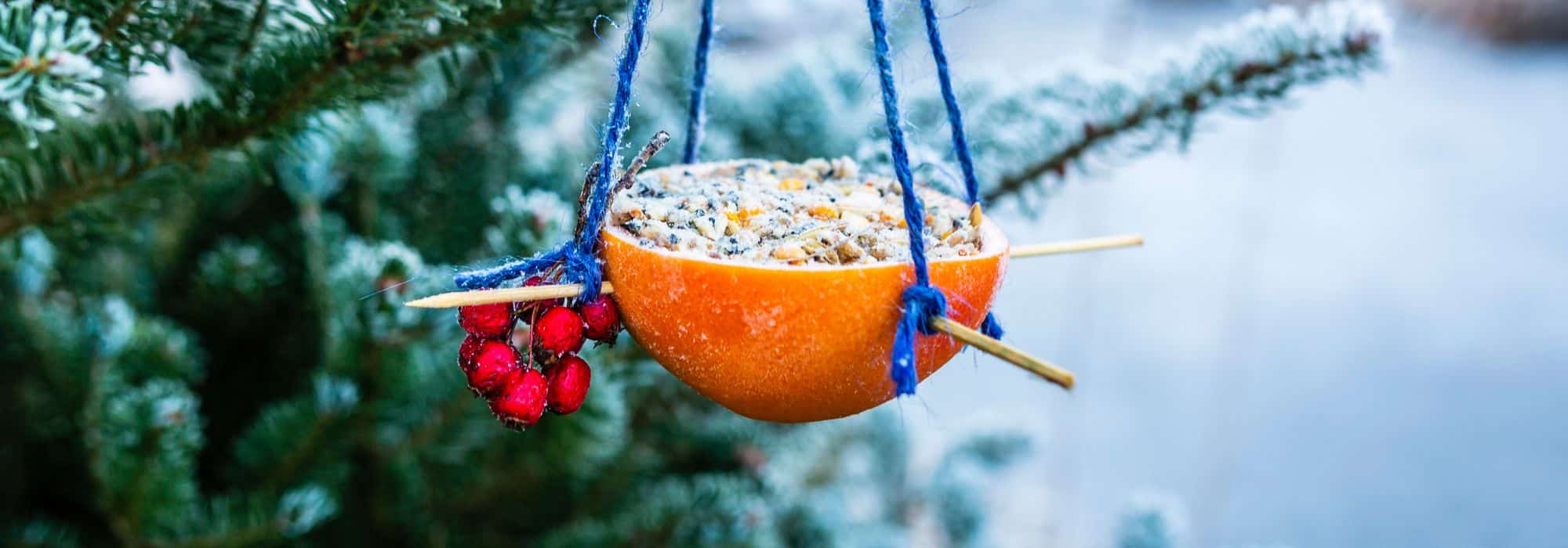 DIY: Bird Feeders