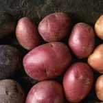 Original and Colourful Potatoes