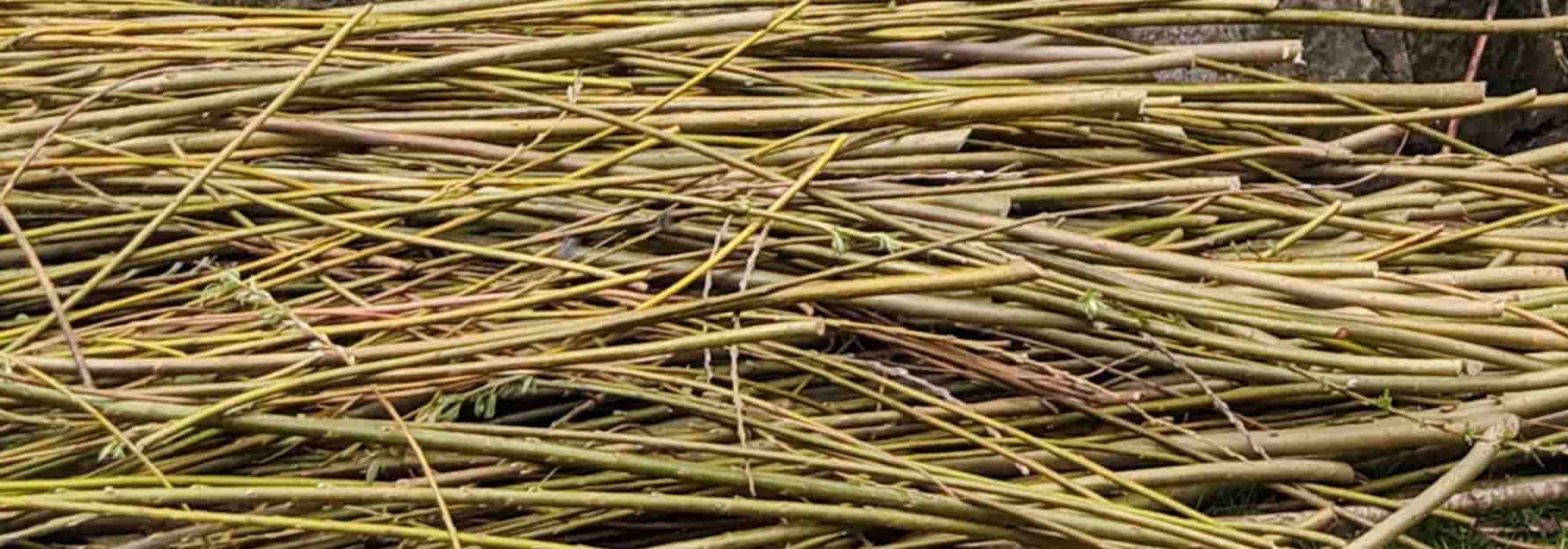 Zero waste: what to do with branches in the garden?