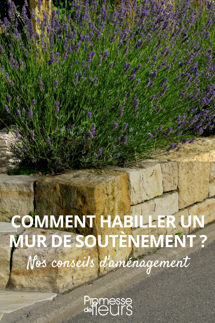[plantes_muret type="ornementales" exposition="ensoleillée" sol="drainant" hauteur_max="50 cm" floraison="printemps-été"]

Transforming a Garden Wall with Plants