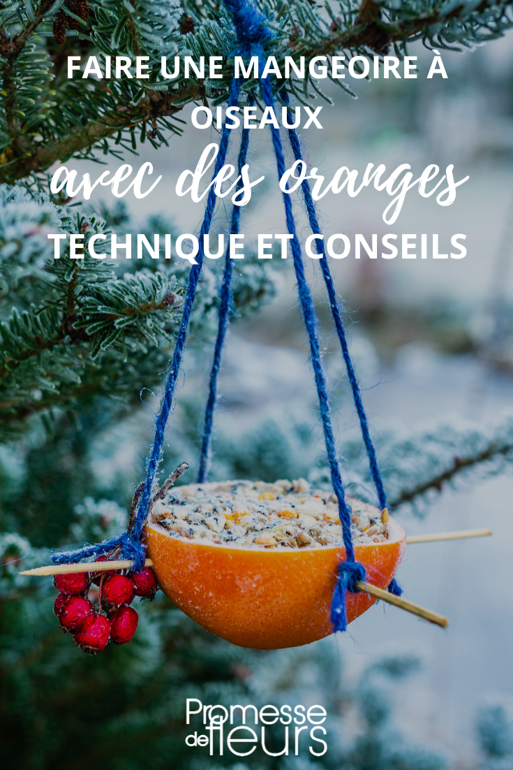 Bird feeder made of orange bark