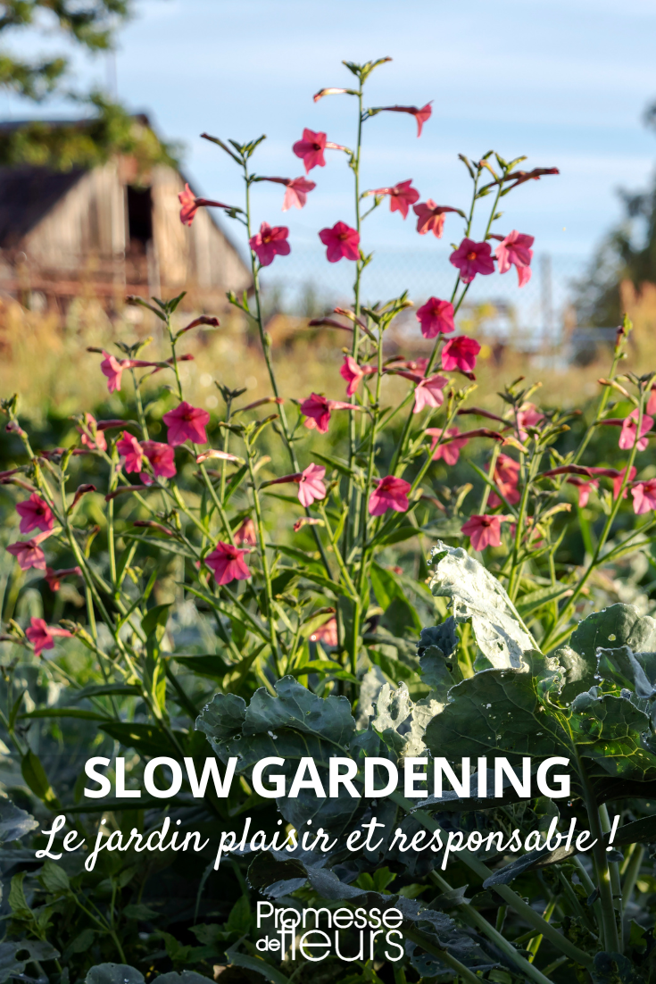 [shortcode identifiant="title" title="Slow gardening: natural gardening"]