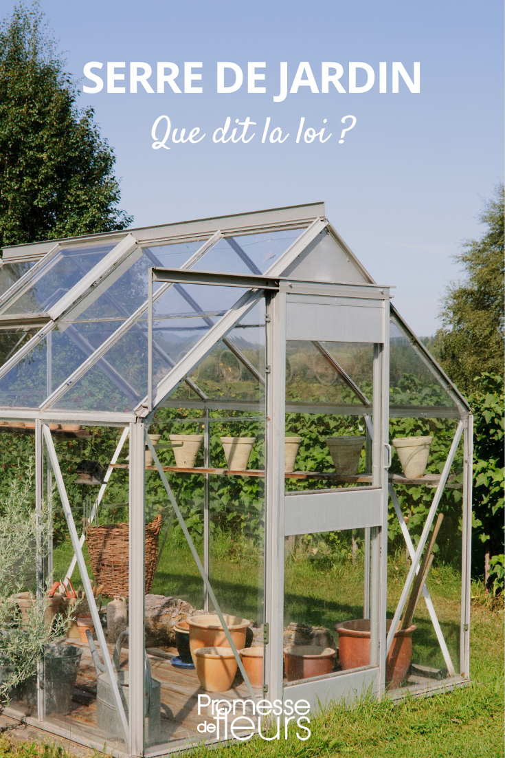 Greenhouse, what does the law say? Installing a garden greenhouse