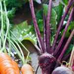 Colourful root vegetables