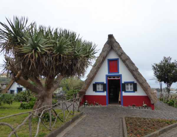 I visited... Madeira, the island of flowers.