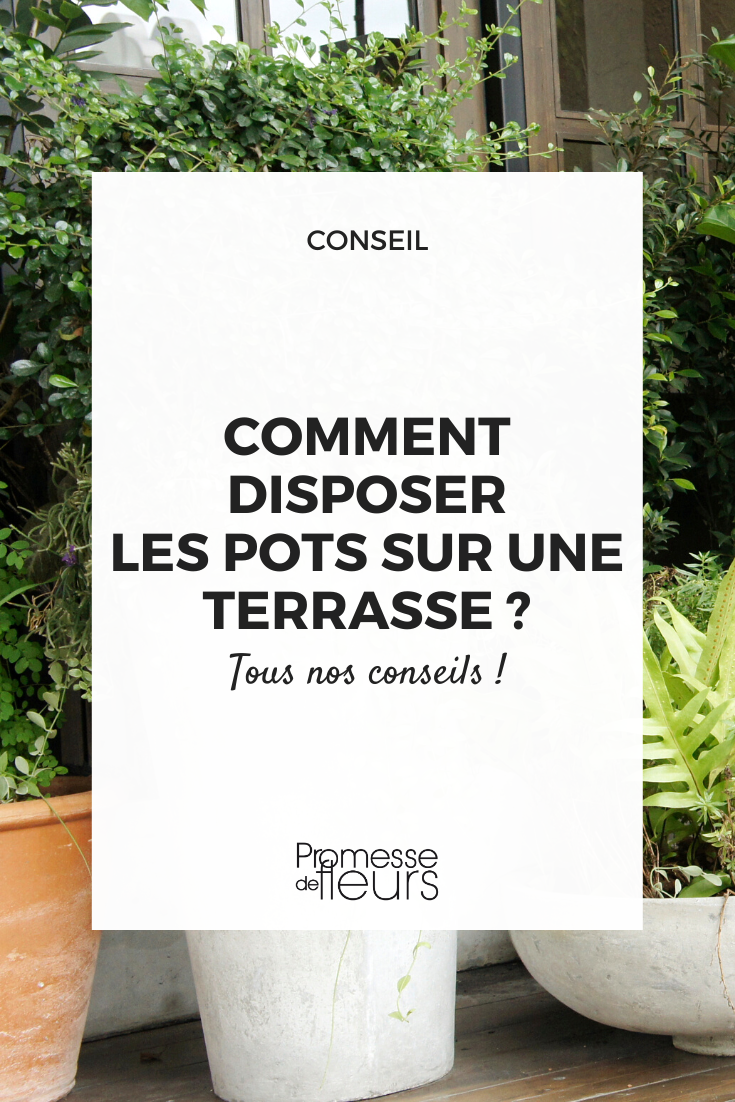 How to arrange pots on a terrace pots and containers for terrace and balcony