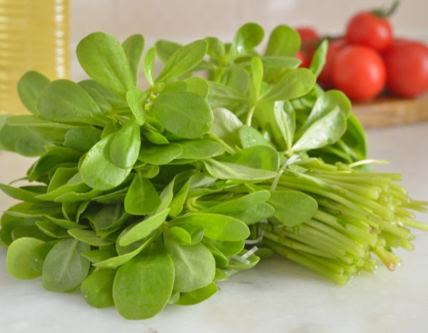 How to cook purslane?