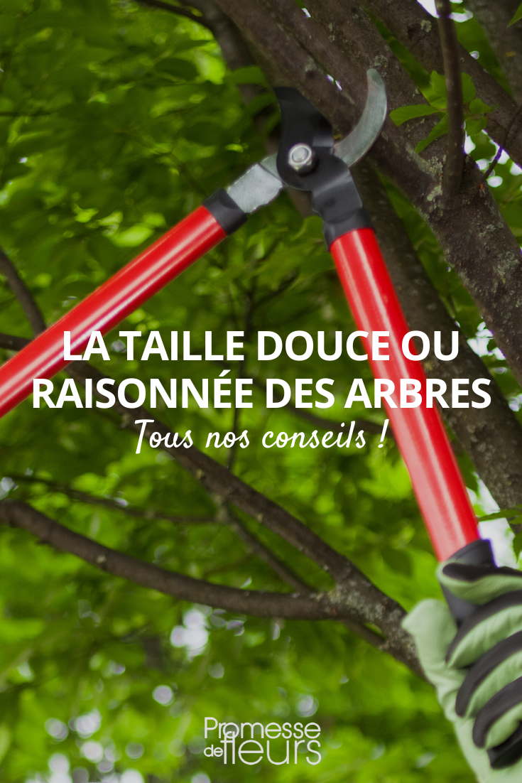 Pruning trees with care or reason pruning tree