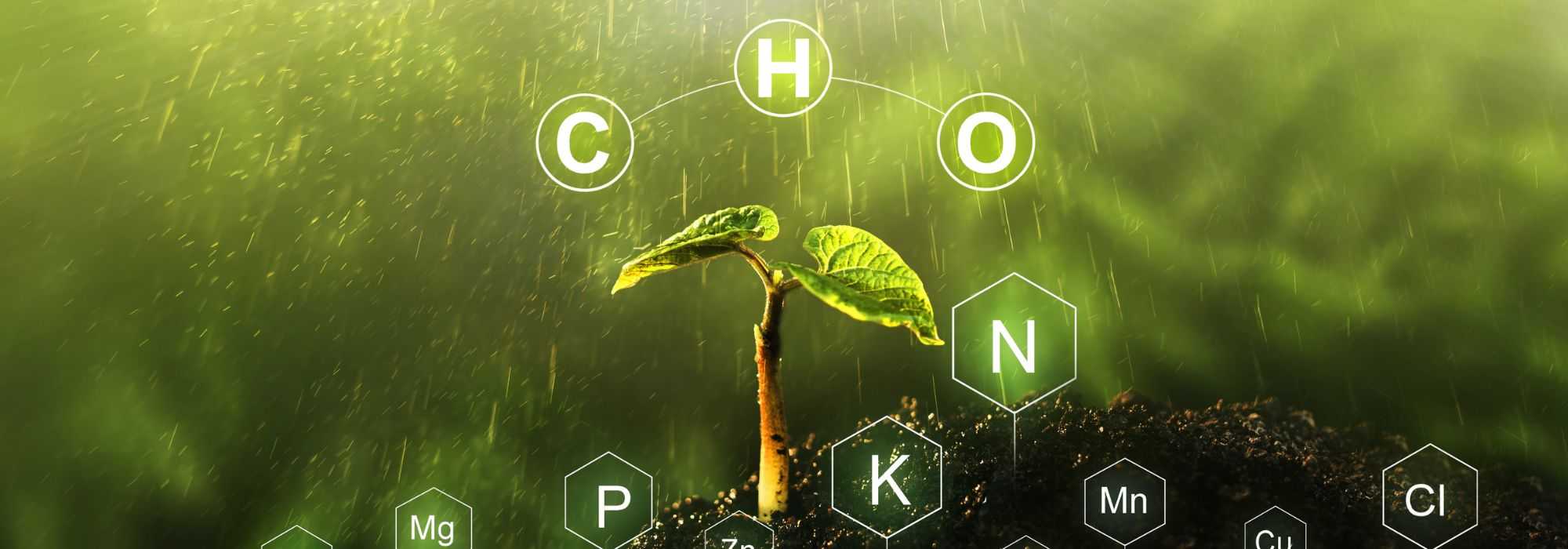 How to correct a potassium deficiency?