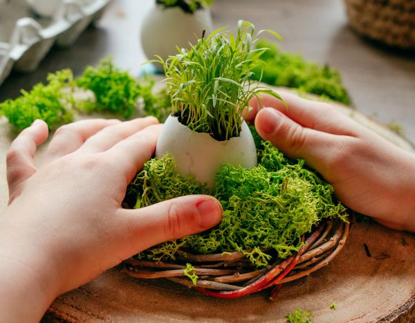 How to make an Easter nest with children?