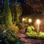 Why and how to reduce light pollution in your garden?