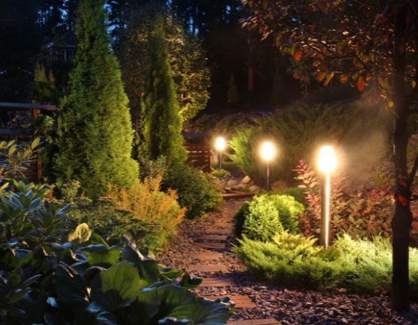 Why and how to reduce light pollution in your garden?