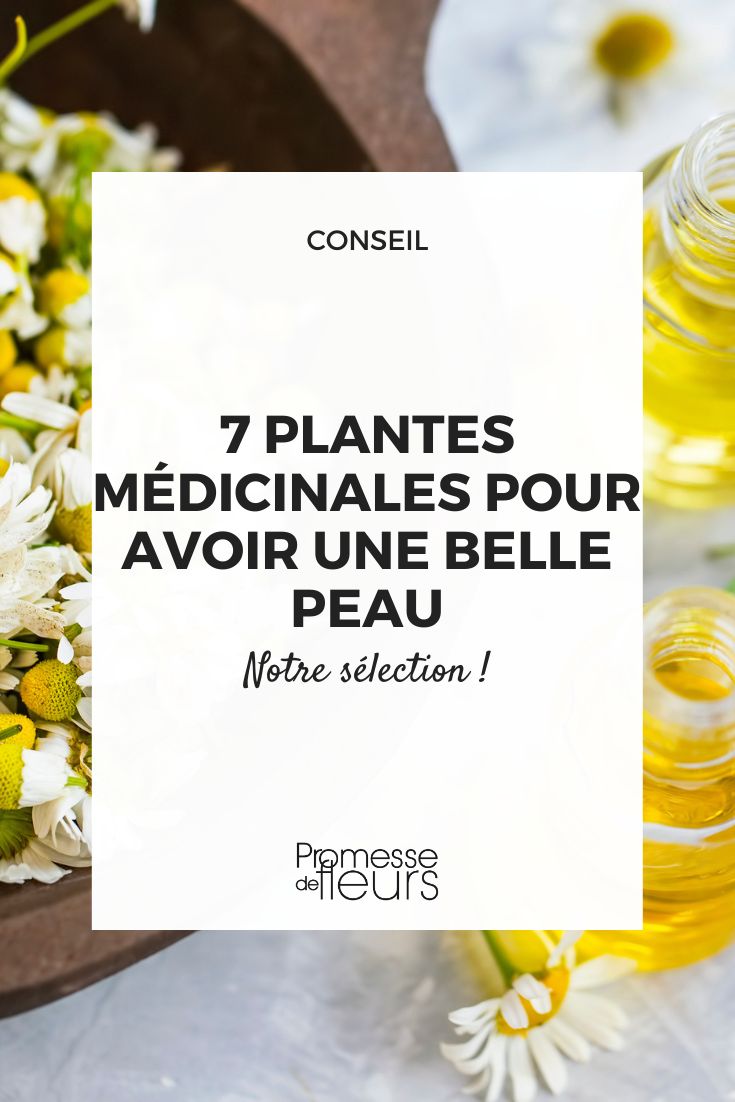 Plants to take care of your skin